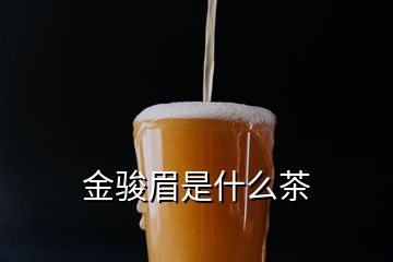 金駿眉是什么茶