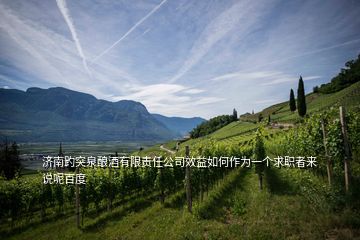 濟南趵突泉釀酒有限責(zé)任公司效益如何作為一個求職者來說呢百度