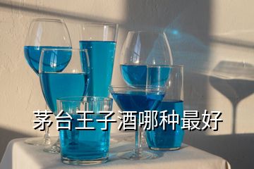 茅臺(tái)王子酒哪種最好