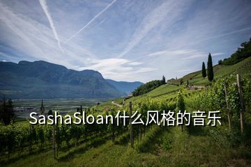 SashaSloan什么風格的音樂