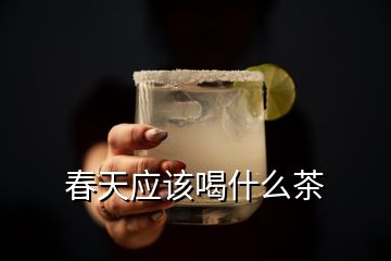 春天應該喝什么茶