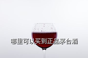 哪里可以買(mǎi)到正品茅臺(tái)酒