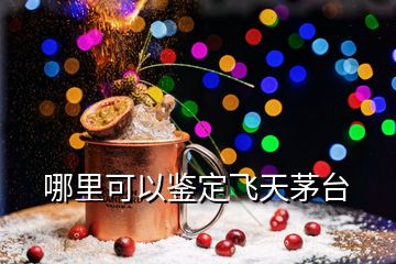 哪里可以鑒定飛天茅臺(tái)