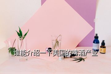 誰能介紹一下美國的啤酒產(chǎn)業(yè)