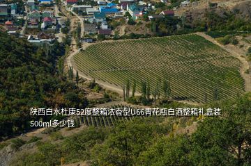 陜西白水杜康52度整箱濃香型U66青花瓶白酒整箱禮盒裝500ml多少錢