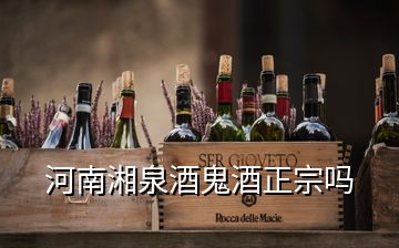 河南湘泉酒鬼酒正宗嗎