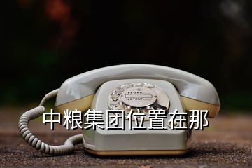 中糧集團(tuán)位置在那