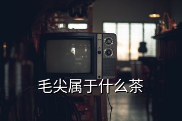 毛尖屬于什么茶