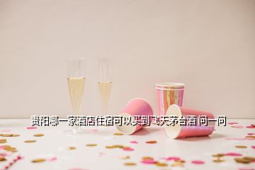 貴陽哪一家酒店住宿可以買到飛天茅臺酒 問一問