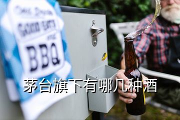 茅臺(tái)旗下有哪幾種酒