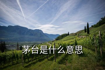 茅臺(tái)是什么意思