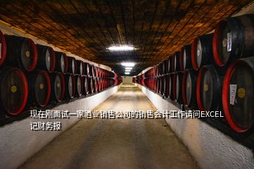 現(xiàn)在剛面試一家酒業(yè)銷售公司的銷售會計工作請問EXCEL記財務(wù)報