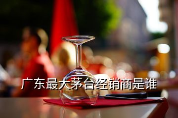 廣東最大茅臺經(jīng)銷商是誰