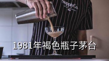 1981年褐色瓶子茅臺