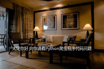 大佬你好 向你請教Python爬蟲程序代碼問題