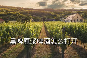 黑啤原漿啤酒怎么打開