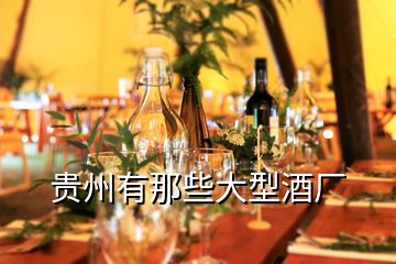 貴州有那些大型酒廠(chǎng)