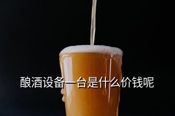 釀酒設(shè)備一臺(tái)是什么價(jià)錢呢