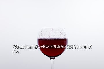 汝陽杜康釀酒有限公司和河南杜康酒業(yè)股份有限公司有關(guān)系嗎