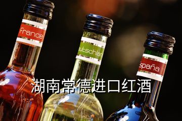 湖南常德進口紅酒