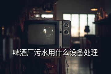 啤酒廠污水用什么設(shè)備處理