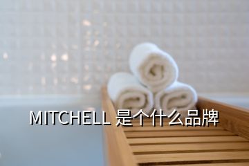 MITCHELL 是個什么品牌