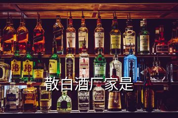 散白酒廠家是