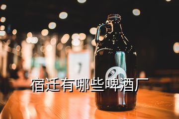 宿遷有哪些啤酒廠