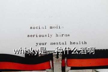 whisky是一種什么酒啊