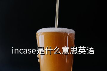 incase是什么意思英語