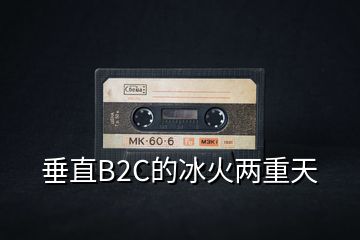 垂直B2C的冰火兩重天