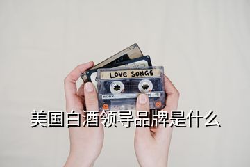 美國白酒領(lǐng)導(dǎo)品牌是什么