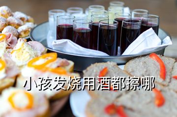 小孩發(fā)燒用酒都擦哪