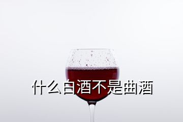 什么白酒不是曲酒