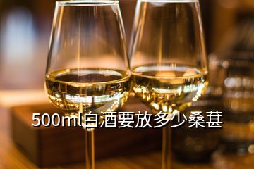 500ml白酒要放多少桑葚