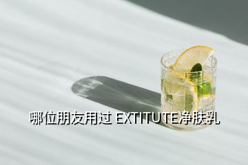 哪位朋友用過(guò) EXTITUTE凈膚乳