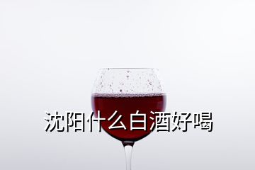 沈陽什么白酒好喝