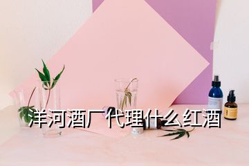 洋河酒廠代理什么紅酒