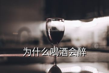 為什么喝酒會醉