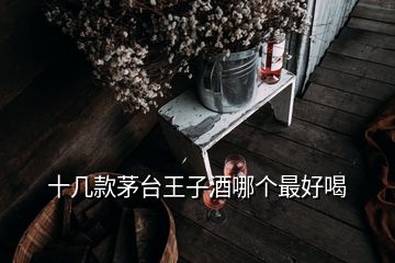 十幾款茅臺(tái)王子酒哪個(gè)最好喝