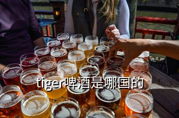 tiger啤酒是哪國(guó)的