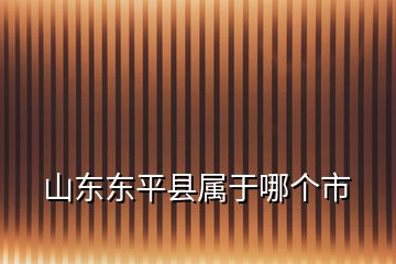 山東東平縣屬于哪個市