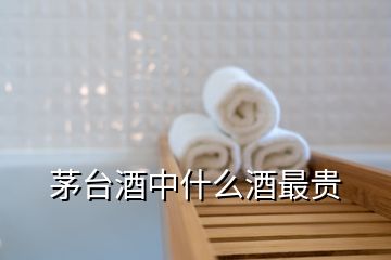 茅臺(tái)酒中什么酒最貴