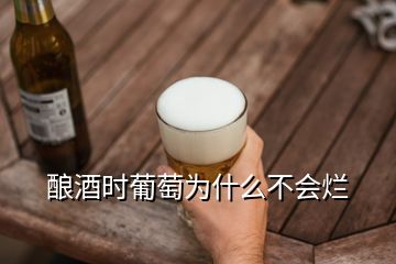 釀酒時葡萄為什么不會爛