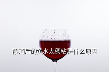 釀酒后的黃水太稠粘是什么原因