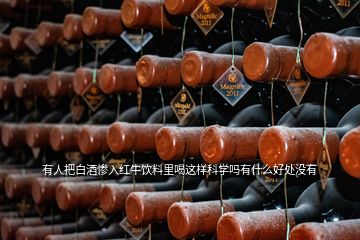 有人把白酒慘入紅牛飲料里喝這樣科學(xué)嗎有什么好處沒(méi)有