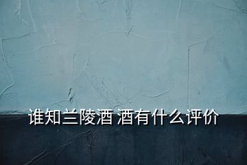 誰知蘭陵酒 酒有什么評(píng)價(jià)