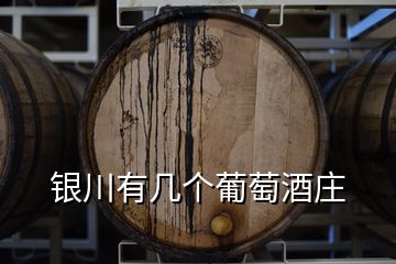 銀川有幾個葡萄酒莊