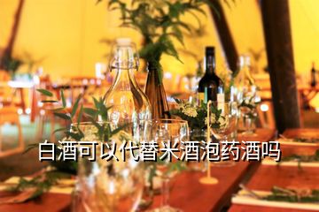 白酒可以代替米酒泡藥酒嗎