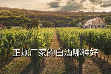 正規(guī)廠家的白酒哪種好